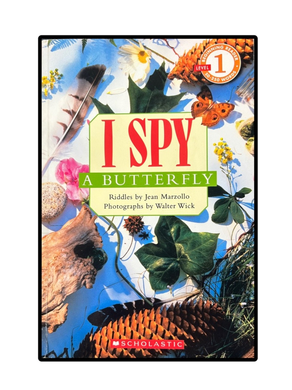 BUNDLE & SAVE 🦋I Spy Butterfly Softcover